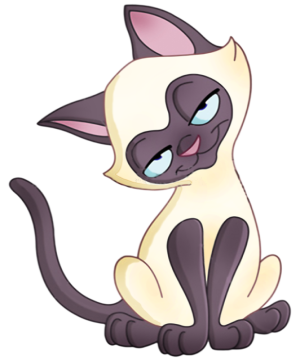 a cute siamese kitty